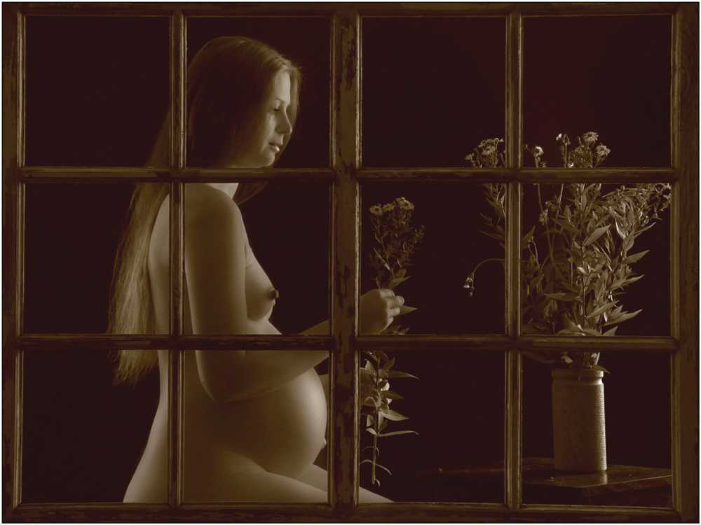 Pregnant behind the window--Jan-Thomas Stake