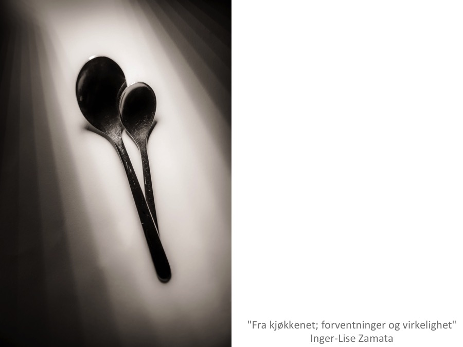 Inger-Lise Zamata, "Fra kjøkkenet" 2014
