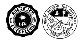 Bodø Nasjonal NSFF logoer