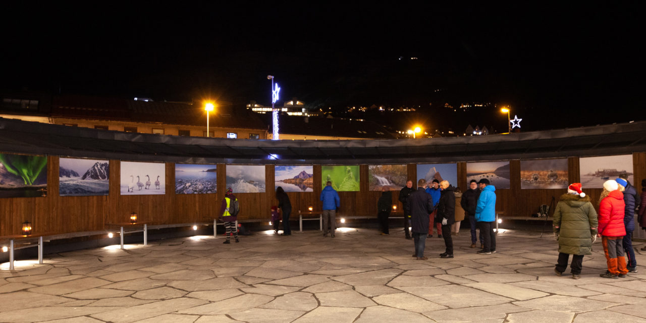 Narvik Kameraklubb med utandørsutstilling «Årstider i Arktis»