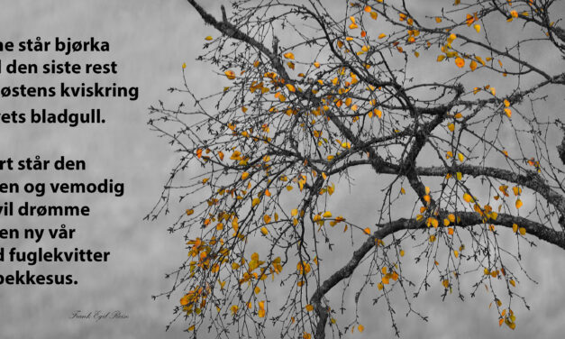Dikt og bilde av Frank Egil Reise – September 2025