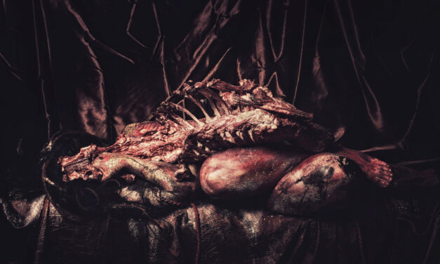 Medlemsprosjekt: Eowyn Evvastri Ruud-Olsen «Theatrum Anatomicum» (2025)