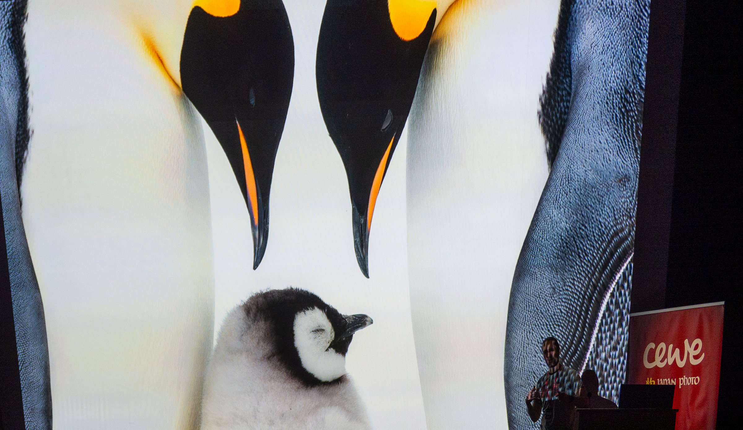 Norsk naturfotofestival 2026 – En opplevelse!