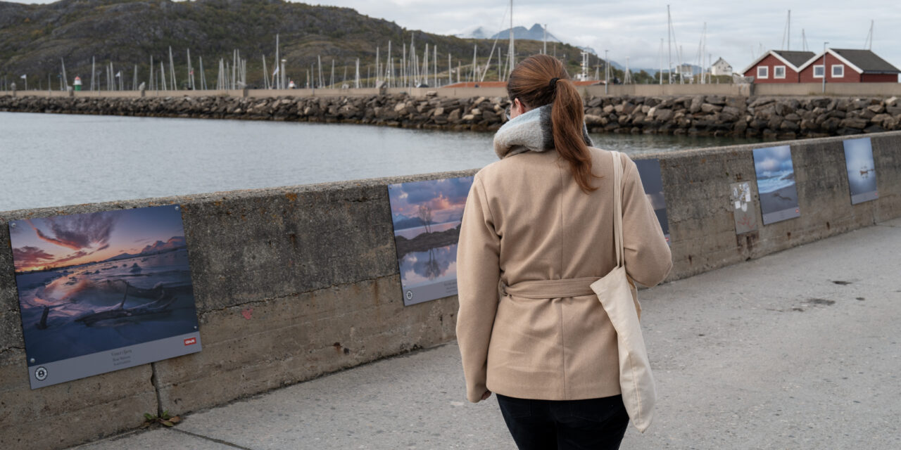 Moloen i Bodø har blitt en attraksjon rikere
