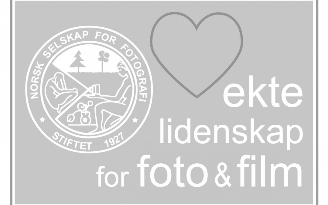 Har dere sendt inn årsrapport for 2019?