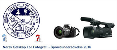 NSFF – Spørreundersøkelse