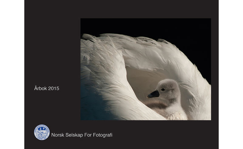 Invitasjon til innlevering NSFF Årbok 2016