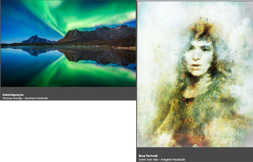 Delta i NSFF landslag i 27.FIAP Color Biennial