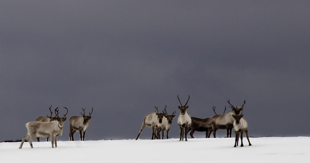 Snart søknadsfrist for NSFF-stipend vår 2017