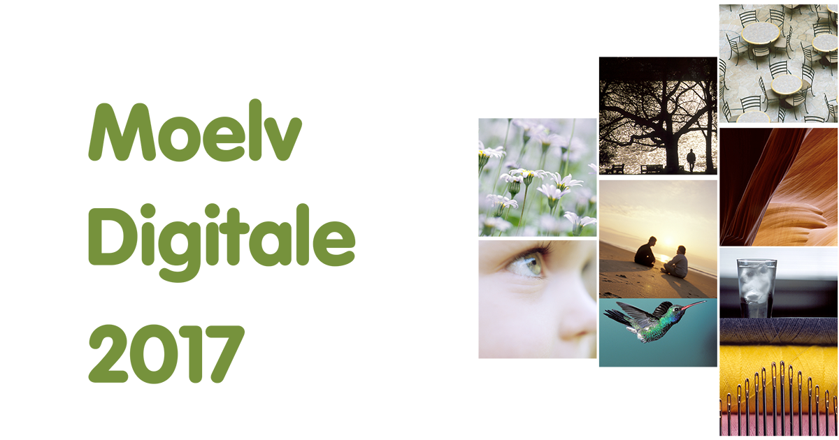Moelv Digitale 2017