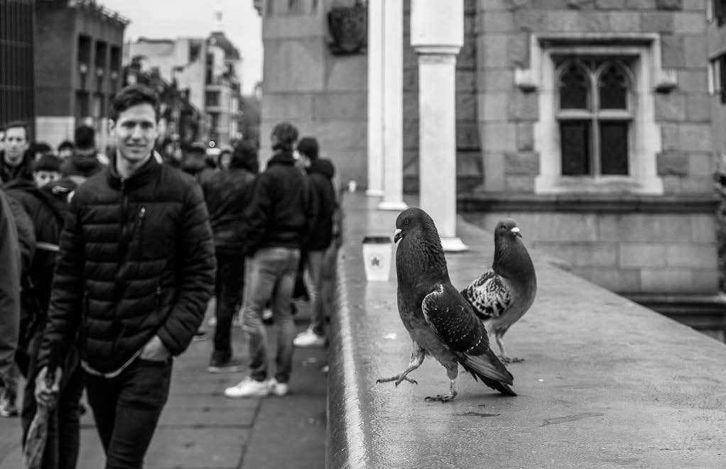 Invitasjon til Moelv Digitale 2018