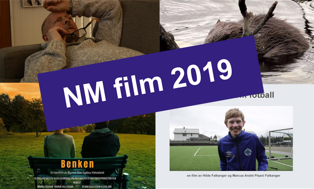 Oppsummering NM i film 2019