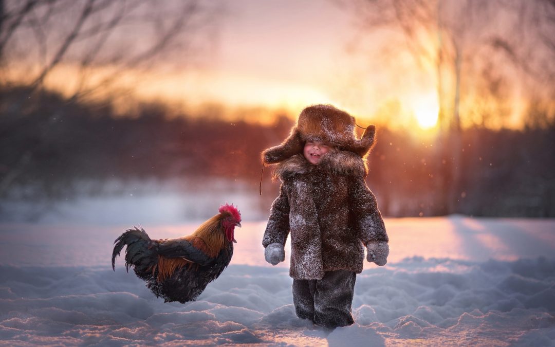 Resultatene fra 28th FIAP Colour Biennial er klare!