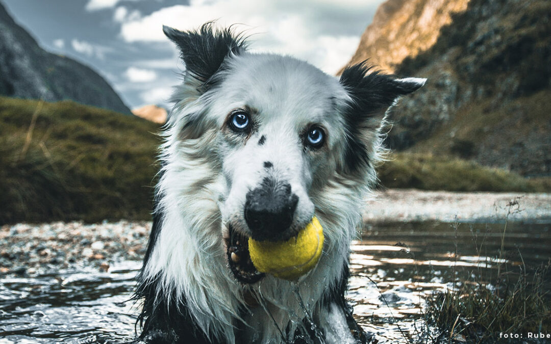 Sommerbilder: ny runde med CEWE fotokonkurranse!