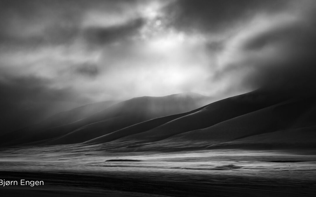 Vinnerne i NSFF x CEWE Photo Award 2021 er kåret!