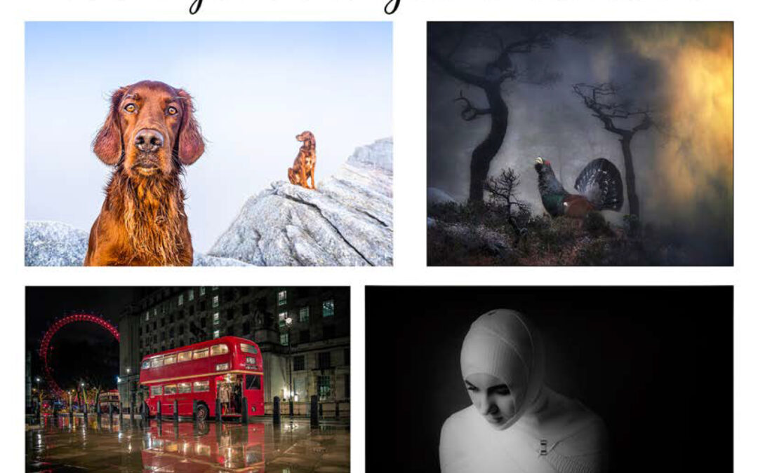 Velkommen til 4th Fjord-Bergen 2021