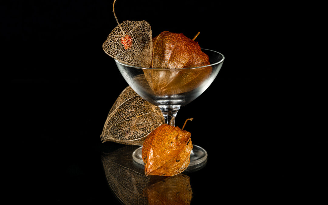 Resultat frå haustrunden NM i foto 2021